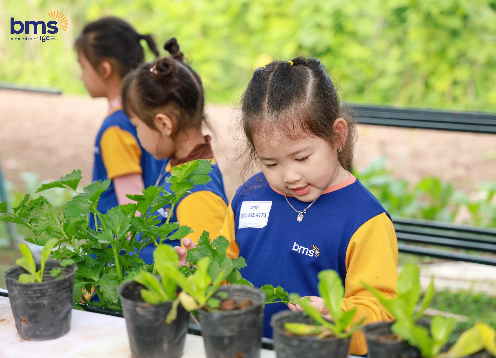 Một ngày trải nghiệm giữa thiên nhiên của BMSers lớp Jumpee tại Công viên Cầu vồng Erahouse