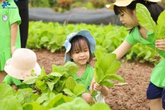 “CON LÀ BÁC NÔNG DÂN NHÍ” – DỰ ÁN TRẢI NGHIỆM NÔNG NGHIỆP KHỐI MISA