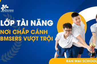 LỚP T (HỆ TÀI NĂNG) – NƠI CHẮP CÁNH BMSERS VƯỢT TRỘI